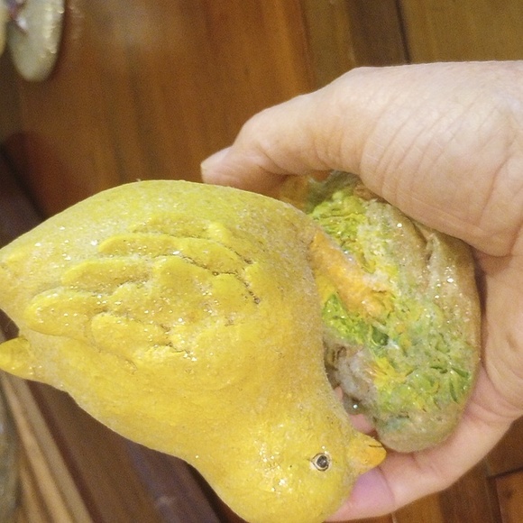 Baby Chicks - Picture 7 of 7